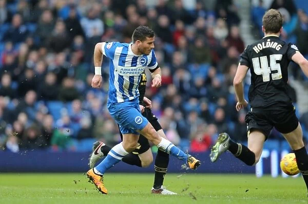 Brighton and Hove Albion vs. Bolton Wanderers: A Fight in the Sky Bet Championship (13 February 2016)