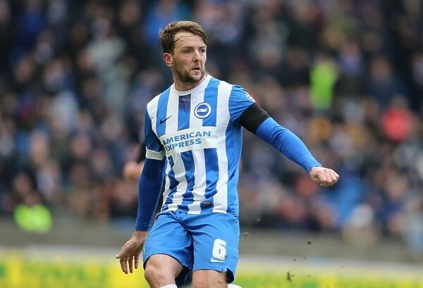 Brighton and Hove Albion vs. Bolton Wanderers: A Fight in the Sky Bet Championship (February 13, 2016)