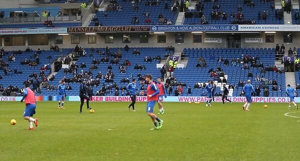 Brighton and Hove Albion vs. Bolton Wanderers: Sky Bet Championship Showdown at the American Express Community Stadium (February 13, 2016)