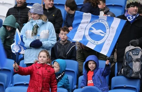 Brighton & Hove Albion vs. Bolton Wanderers: A Fierce Battle in the Sky Bet Championship (13 February 2016)