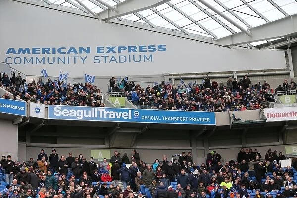 Brighton and Hove Albion vs. Bolton Wanderers: Sky Bet Championship Showdown at American Express Community Stadium (February 13, 2016)