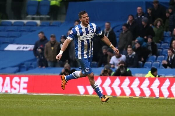 Brighton and Hove Albion vs. Bolton Wanderers: A Fight in the Sky Bet Championship (13 February 2016)