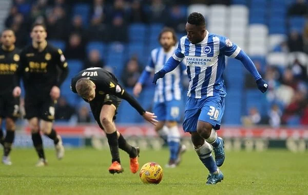 Brighton & Hove Albion vs. Bolton Wanderers: A Fight in the Sky Bet Championship (13 / 02 / 2016)