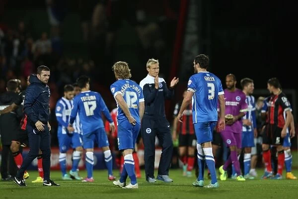 Brighton & Hove Albion vs Bournemouth: 2014-15 Away Game
