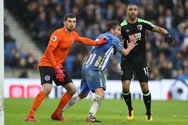 Brighton and Hove Albion vs. Bournemouth: A Premier League Battle at American Express Community Stadium (01.01.18)