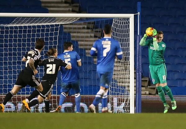 Brighton and Hove Albion vs. Brentford: A Fight in the Sky Bet Championship (05 / 02 / 2016)