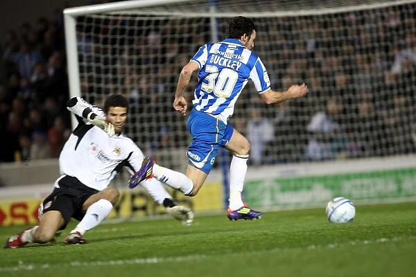 Brighton & Hove Albion vs. Bristol City (16-01-2012): A Look Back at the 2011-12 Home Season's Exciting Battle