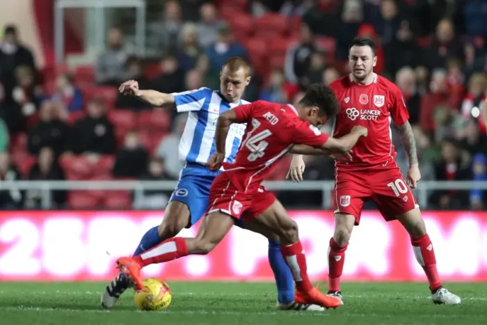 Framed Print : Brighton and Hove Albion vs. Bristol City: Championship Showdown at Ashton Gate Stadium (November 2016) Framed Print : Brighton and Hove Albion vs. Bristol City: Championship Showdown at Ashton Gate Stadium (November 2016)