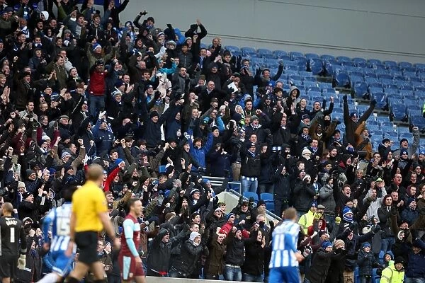 Brighton & Hove Albion vs Burnley (2012-13 Season): A Home Game on February 23
