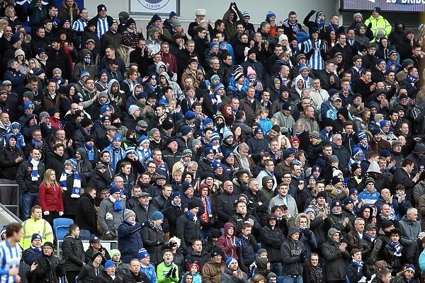 Brighton & Hove Albion vs. Burnley - 23-02-2013: A Look Back at the 2012-13 Season Home Game