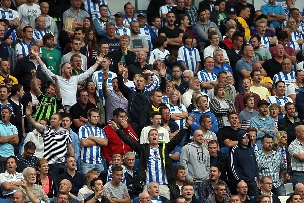 Brighton & Hove Albion vs. Burnley: Home Game - August 24, 2013