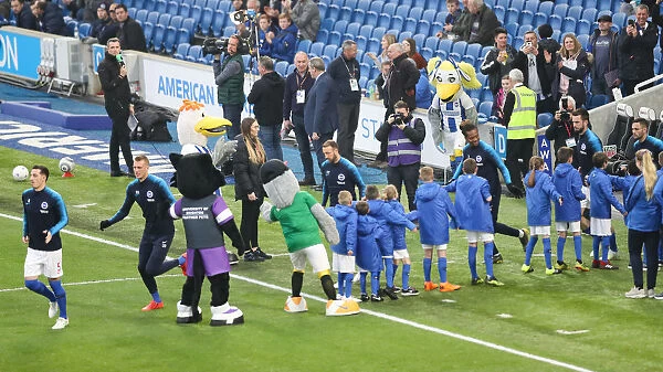 Brighton and Hove Albion vs. Cardiff City: Premier League Showdown at American Express Community Stadium (April 16, 2019)