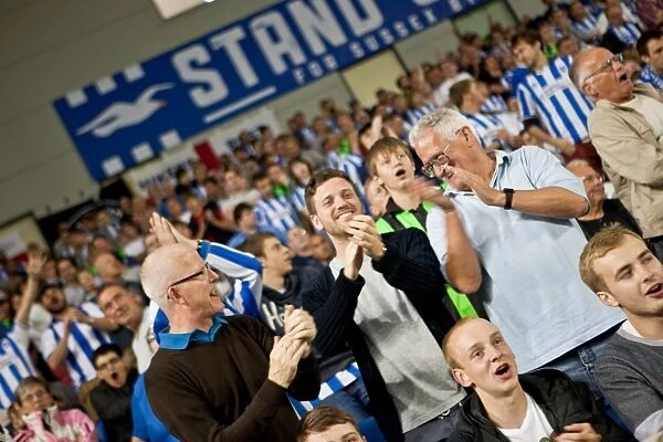 Brighton & Hove Albion vs. Cardiff City (2012-13): Home Game Highlights - August 21, 2012