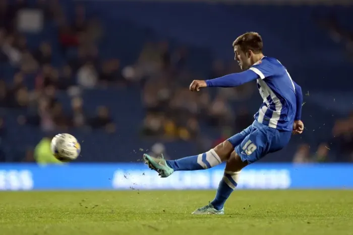 Framed Print : Brighton & Hove Albion vs. Cardiff City: 30 September 2014 (Cardiff City Home Game)
