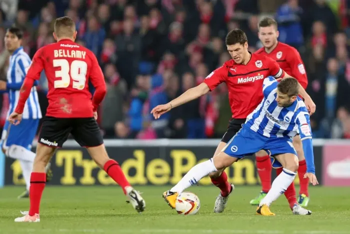 Framed Print : Brighton & Hove Albion vs. Cardiff City (Away): 19-02-2013 - Season 2012-13 Framed Print : Brighton & Hove Albion vs. Cardiff City (Away): 19-02-2013 - Season 2012-13