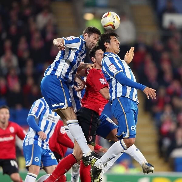 Brighton & Hove Albion vs. Cardiff City (Away) - 19-02-2013: Season 2012-13 Away Game