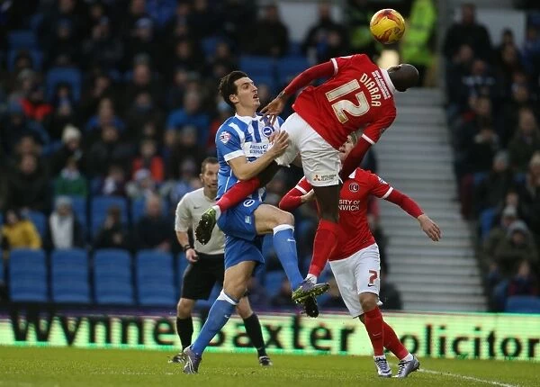 Brighton and Hove Albion vs Charlton Athletic: Sky Bet Championship Battle at American Express Community Stadium (5th December 2015)