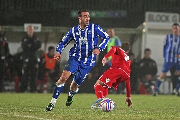 Brighton & Hove Albion vs Charlton Athletic: 2010-11 Home Game