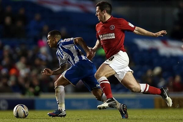 Brighton & Hove Albion vs Charlton Athletic (2012-13 Season): A Home Game Review - 2 April 2013