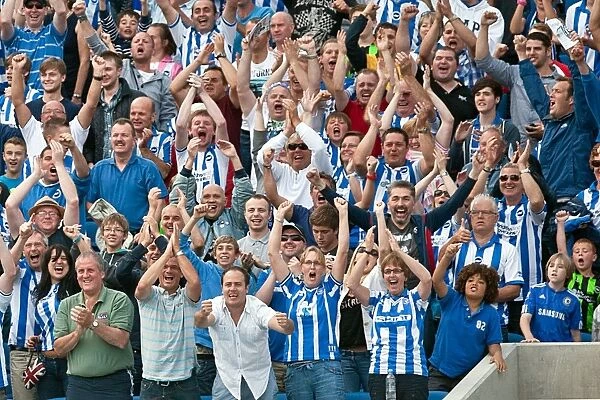 Brighton & Hove Albion vs. Chelsea: 2012-13 Pre-Season at Amex Stadium