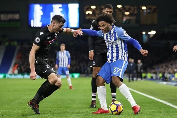 Brighton and Hove Albion vs. Crystal Palace: A Premier League Clash at American Express Community Stadium (November 2017)