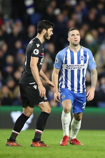 Brighton and Hove Albion vs. Crystal Palace: A Premier League Showdown at American Express Community Stadium - November 2017