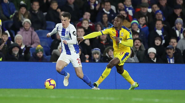 Brighton and Hove Albion vs. Crystal Palace: A Premier League Clash at American Express Community Stadium (04DEC18)