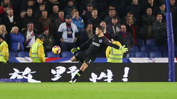 Brighton and Hove Albion vs. Crystal Palace: A Premier League Showdown at American Express Community Stadium (December 4, 2018)