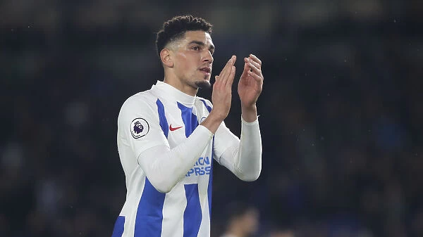 Brighton and Hove Albion vs. Crystal Palace: A Premier League Showdown at American Express Community Stadium (December 4, 2018)
