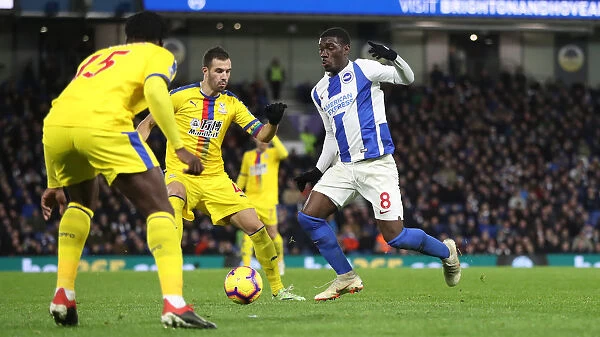 Brighton and Hove Albion vs. Crystal Palace: A Premier League Clash at American Express Community Stadium (04DEC18)