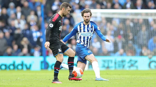 Brighton and Hove Albion vs. Crystal Palace: 2019-2020 Premier League Clash at American Express Community Stadium (February 29)