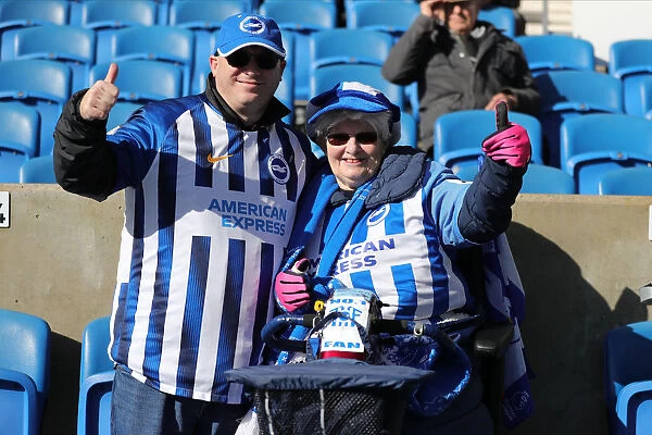 Brighton and Hove Albion vs. Crystal Palace: A Premier League Clash at American Express Community Stadium (29 February 2020)