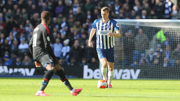 Brighton and Hove Albion vs. Crystal Palace: A Premier League Showdown at American Express Community Stadium (29th February 2020)