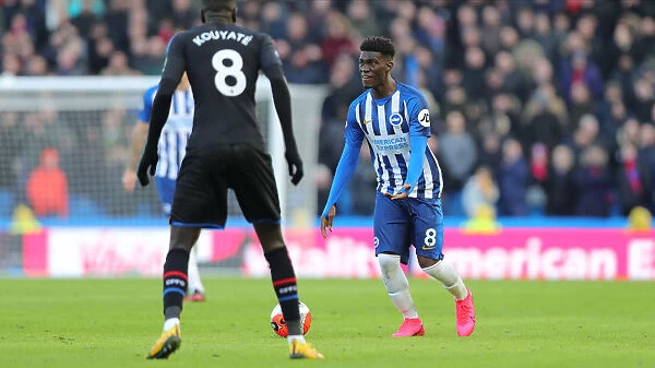 Brighton and Hove Albion vs. Crystal Palace: A Premier League Clash at American Express Community Stadium (29FEB20)