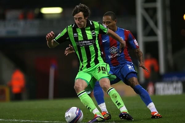 Brighton & Hove Albion vs. Crystal Palace: Away Game (January 31, 2012)