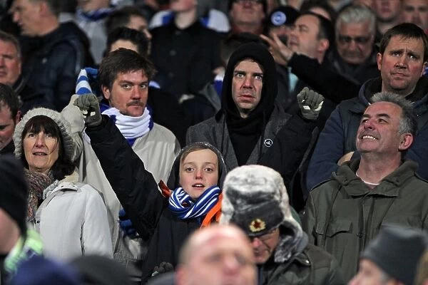 Brighton & Hove Albion vs. Crystal Palace: 2012-13 Away Game Highlights (1st December 2012)