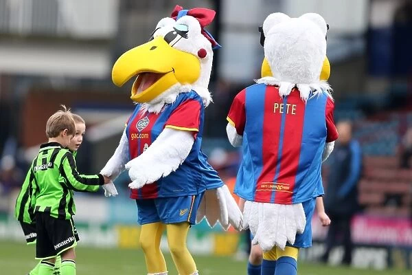 Brighton & Hove Albion vs. Crystal Palace: 2012-13 Away Game