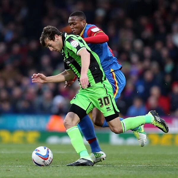 Brighton & Hove Albion vs. Crystal Palace: 2012-13 Away Game Highlights - Crystal Palace (December 1, 2012)