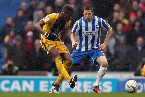 Brighton & Hove Albion vs. Crystal Palace: A Home Battle - March 17, 2013 (2012-13 Season)