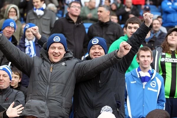 Brighton & Hove Albion vs. Crystal Palace: A Home Battle (March 17, 2013 - Season 2012-13)
