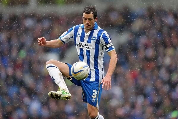 Brighton & Hove Albion vs. Crystal Palace: A Past Rivalry (17-03-2013)