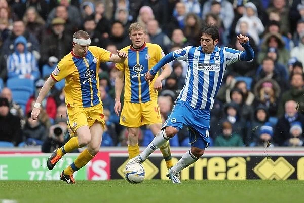 Brighton & Hove Albion vs. Crystal Palace: A Past Season's Home Game (March 17, 2013)