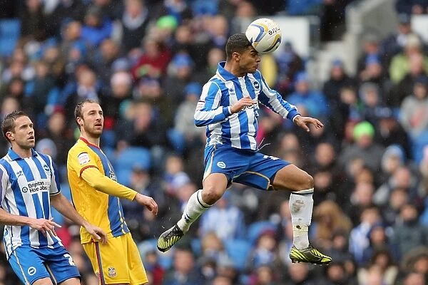 Brighton & Hove Albion vs. Crystal Palace: A 2012-13 Home Game Recap