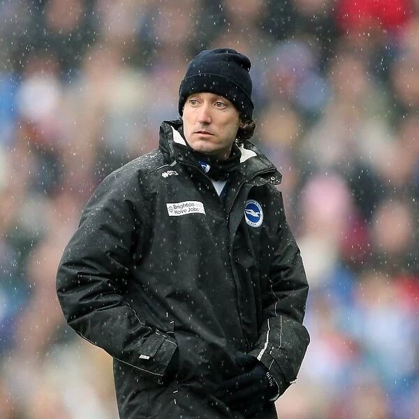 Brighton & Hove Albion vs. Crystal Palace: A Past Season's Home Game (March 17, 2013) - 2012-13: Crystal Palace