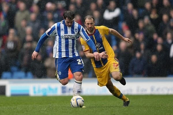 Brighton & Hove Albion vs. Crystal Palace: A Past Season's Home Game (March 17, 2013)