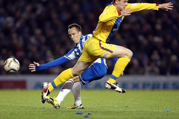 Brighton & Hove Albion vs. Crystal Palace: 2013 Play-Off Semifinal Second Leg