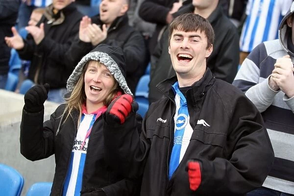 Brighton & Hove Albion vs. Crystal Palace - March 17, 2013