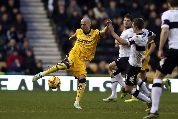 Brighton & Hove Albion vs. Derby County (Away Game - January 18, 2014)
