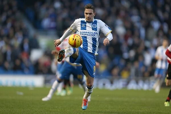 Brighton & Hove Albion vs Doncaster Rovers (08-02-2014): A Home Game from the 2013-14 Season