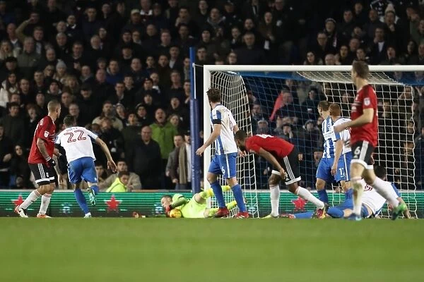 Brighton and Hove Albion vs. Fulham: A Fight in the EFL Sky Bet Championship (November 2016)